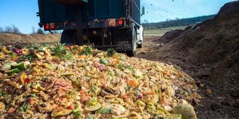 Food waste dumped in a landfill
