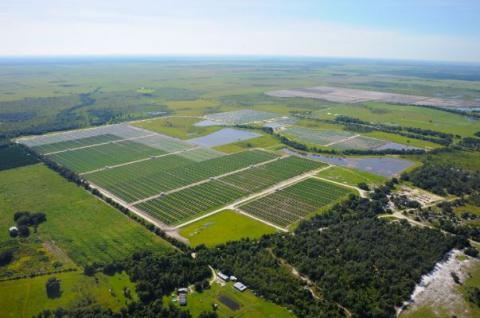 Florida utility plans world’s largest battery combined with solar