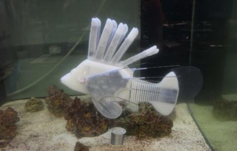 Robotic battery operated fish