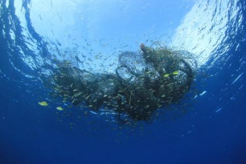 Discarded fishing net in ocean (stock image). Credit: © Richard Carey / Adobe Stock