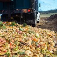 The simple way we might turn food waste into green energy