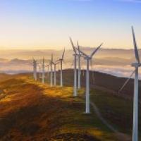 Cornell professors contribute to winning offshore wind energy alliance