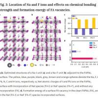 Cation and anion immobilization through chemical bonding enhancement with fluorides for stable halide perovskite solar cells