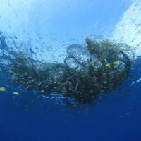 Faster-degrading plastic could promise cleaner seas
